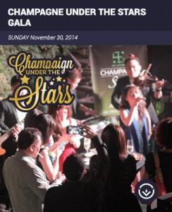 CHAMPAGNE AND SILENT AUCTION GALA